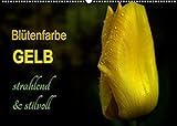 Blütenfarbe GELB (Wandkalender 2022 DIN A2 quer): Leuchtende gelbe Blüten, die zum positiven Denken einladen. (Monatskalender, 14 Seiten ) (CALVENDO Natur)