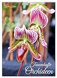 Traumhafte Orchideen (Wandkalender 2023 DIN A2 hoch), Calvendo Monatskalender