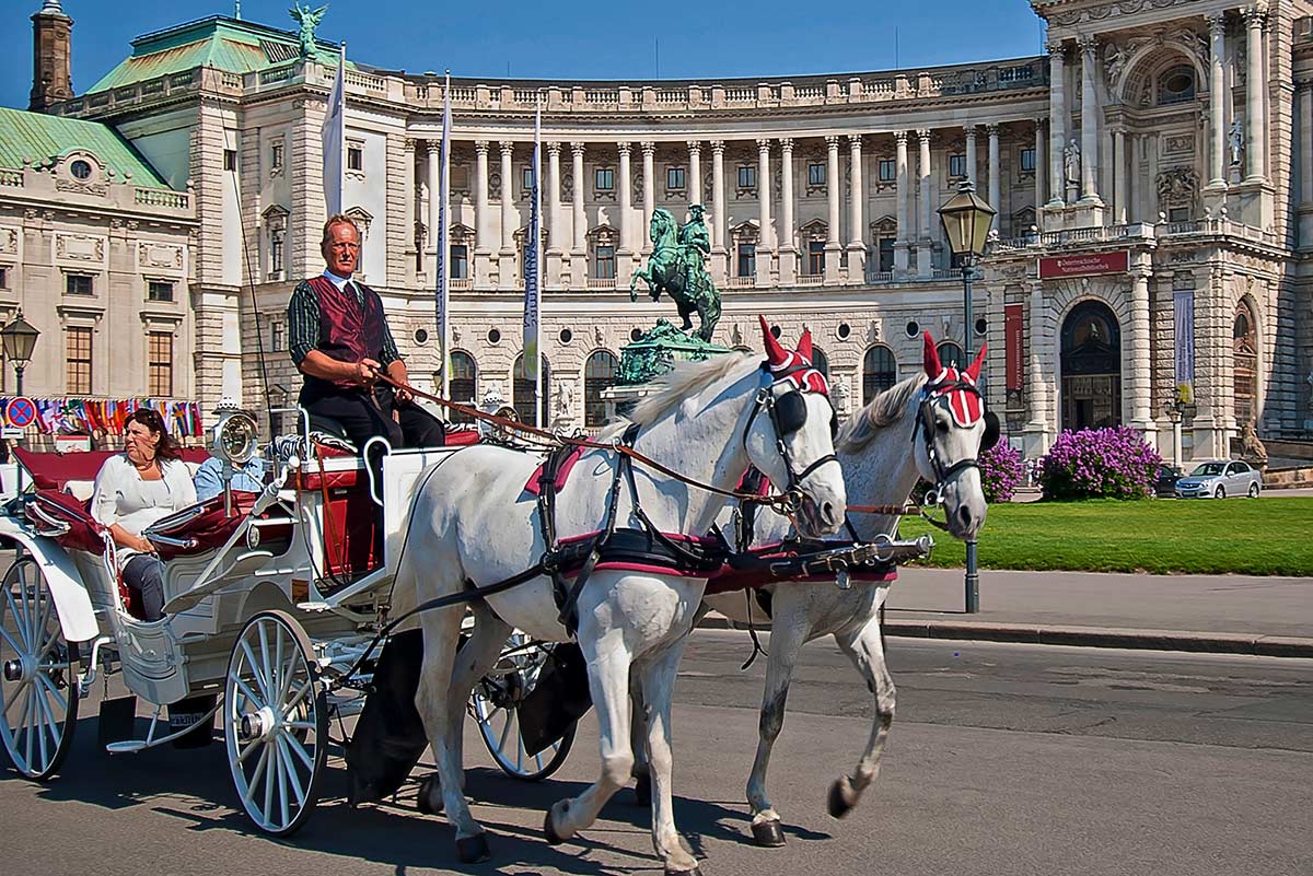 Pferdekutsche in Wien